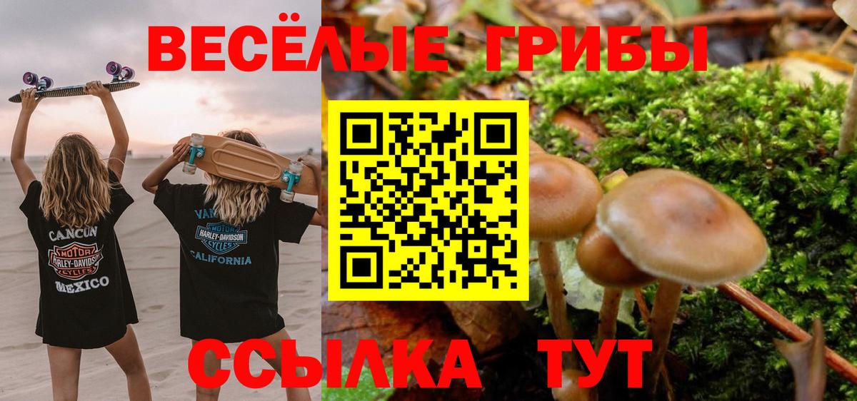 Псилоцибиновые грибы ЛСД Ликино-Дулёво