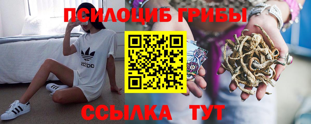 Ликино-Дулёво  Галлюциногенные грибы Cubensis  Вход с VPN 